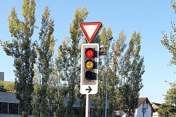 Ampel vor Bäumen mit kein Vortritt Schild und Rechtsabbiegen bei Rot Tafel.