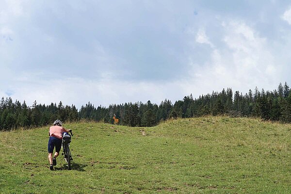 Ein Mann schiebt sein Fahrrad einen Hang hinauf.