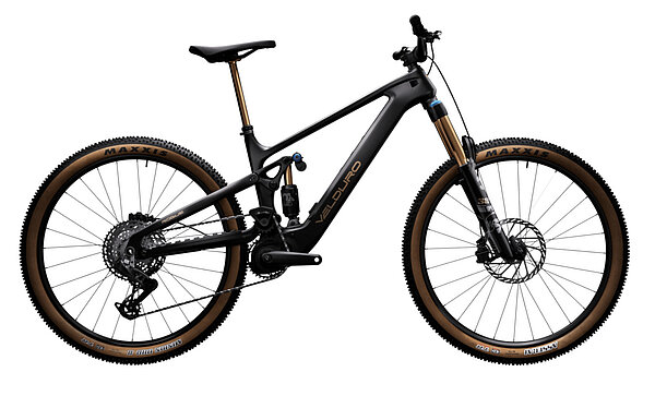 Das «Rogue R» ist ein E-Enduro von Velduro Bikes. 
