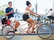 Critical Mass