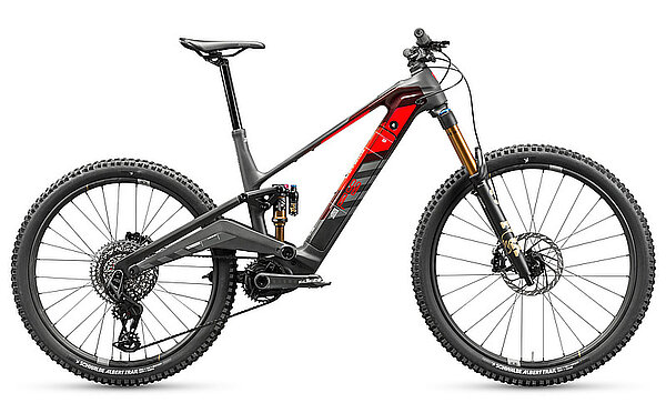 E-Mountainbike.