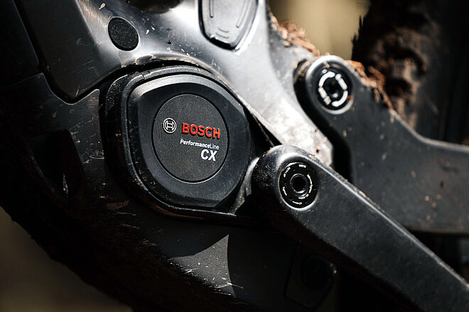 Welche Motoren kommen am meisten an E-Bikes vor?