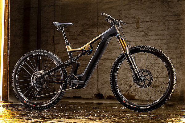 E-Mountainbike