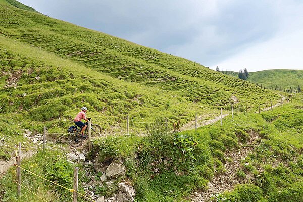 Ein Biker fährt mit seinem Rad auf einem Singletrail.