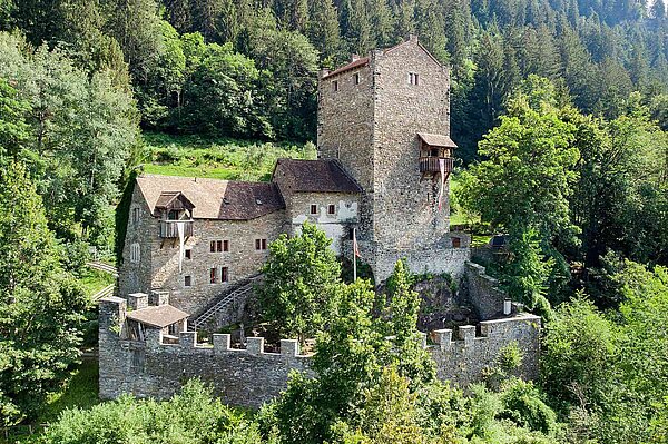 Eine Burg im Nadelwald.