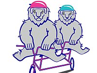Die Stadt Zürich spannt mit Bikeable zusammen.