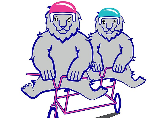 Die Stadt Zürich spannt mit Bikeable zusammen.