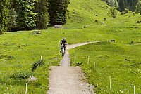 Biketrails für Kinder. Marbachegg Flowtrails. Ein Biker springt in die Luft.