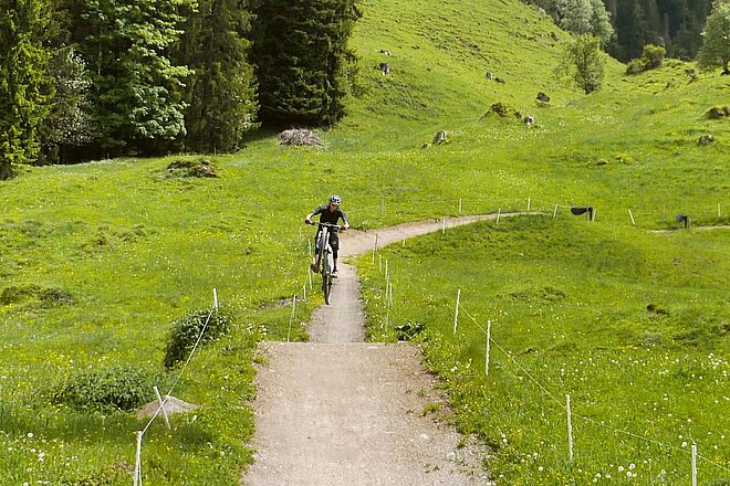 Biketrails für Kinder. Marbachegg Flowtrails. Ein Biker springt in die Luft.