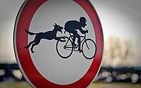 Achtung bissige Hunde