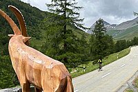 Von Bergün nach La Spezia mit Rennrädern.