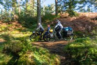 Tern Orox Adventure Cargobike. Eine Familie fährt mit Fahrrädern durch den Wald.