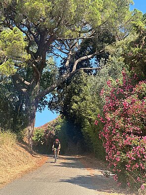 Reisen Fahrrad Schwe4iz Italien