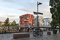 ADFC Fahrradklima-Test 2022. Eine Strasse am Mainufer in Frankfurt mit vielen Fahrrädern. 