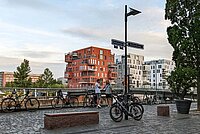 ADFC Fahrradklima-Test 2022. Eine Strasse am Mainufer in Frankfurt mit vielen Fahrrädern. 