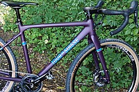 Ein Fahrrad steht vor einem grünen Busch