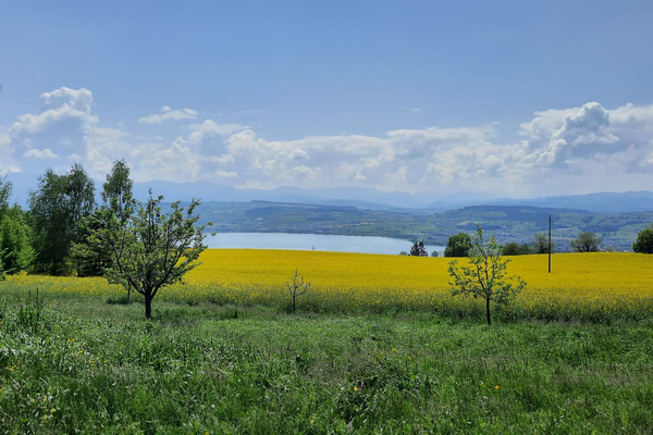 Die neuen Velotrouen bieten Aussicht auf den Sempachersee.
