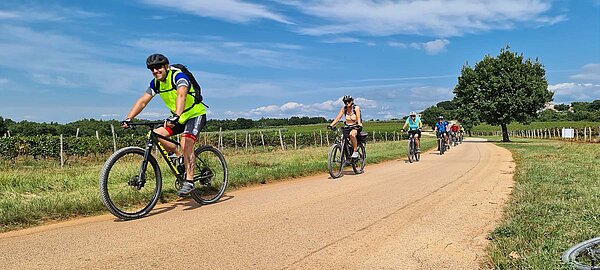 Mit dem Velo Istrien entdecken