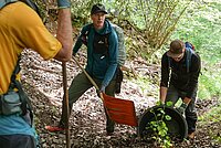 Männer stehen mit Schaufeln im Wald.