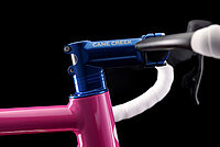 Lenkzentrale mit «HCR System» von Cane Creek.