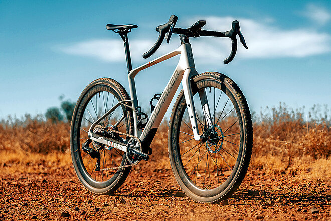 Mondraker Arid Carbon. 