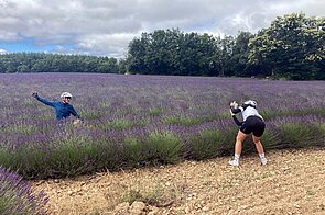 Lavendelfeld in Frankreich