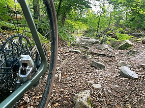 Ein Gravelbiker fährt durch den Wald.