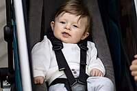 Kleinkind sitzt in einem Fahrradanhänger.