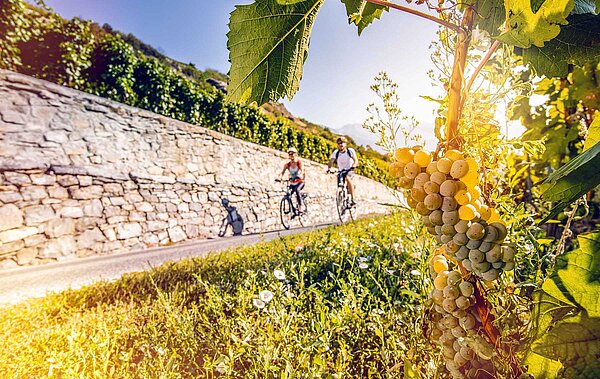 Mit dem Velo entlang des Chemin du Vignoble