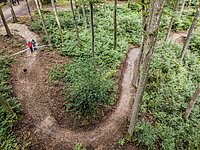 Moutainbike-Trail im Wald.