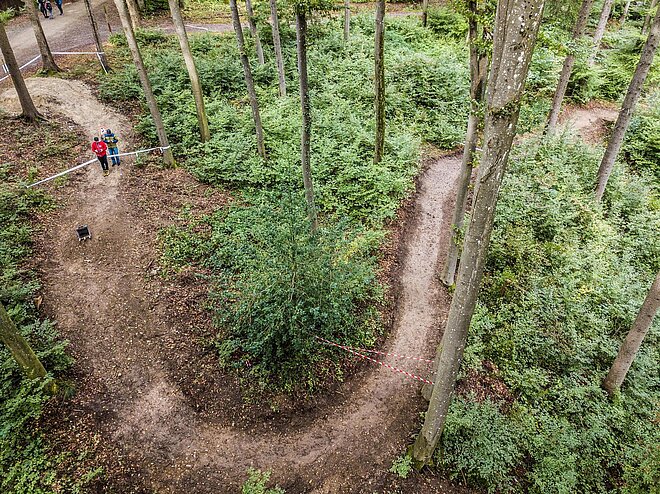 Moutainbike-Trail im Wald.