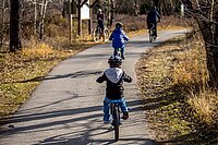 Kinder fahren auf einem Waldweg Velo