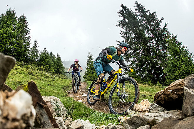 Swisspo GfK Studie Velos in der Schweiz. Mountainbiker auf einem Trail, im Hingergrund Bäume und Steine.