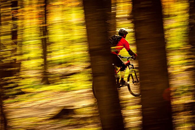 Bundeswaldgesetz-Revision: Waldwege für Biker in Deutschland eingeschränkt. Ein Mann mit roter Jacke fährt mit dem Bike durch einen Wald.
