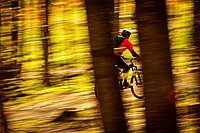 Bundeswaldgesetz-Revision: Waldwege für Biker in Deutschland eingeschränkt. Ein Mann mit roter Jacke fährt mit dem Bike durch einen Wald.