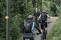 zwei mountain-Biker treffen im Wald auf dem Wanderweg auf auf eine Wanderin
