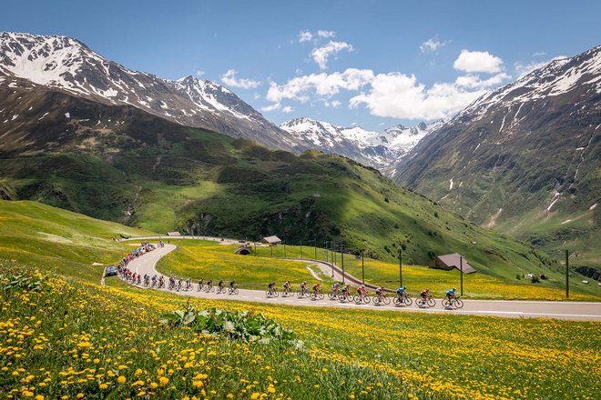 Velojournal verlost 2 VIP-Tickets für die Tour de Suisse 2022. Blumenwiese mit Strasse, auf der ein Radrennen stattfindet.