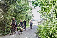 Eine Familie fährt mit Velos einen Waldweg entlang.