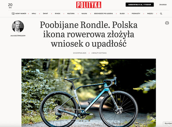 Screenshot eines Artikels von Polityka.