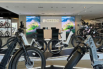 E-Bikes stehen in einem Verkaufsgeschäft.