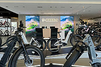 E-Bikes stehen in einem Verkaufsgeschäft.