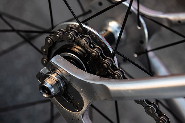 Ritzel am Fixie