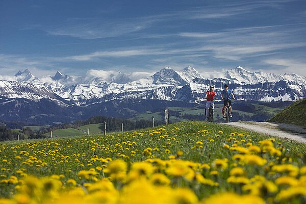 Zwei E-Bike-Fahrer auf einer Landstrasse, im Vordergund eine Blumenwiese 