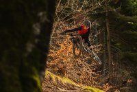 Ein Mann springt auf einem Mountainbike im Wald in die Luft
