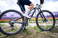 «Project Fahrenheit» von BMC in Aktion.