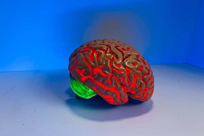 Kunstaufnahme eines Gehirns