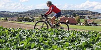 Gravel Ride & Race Bern. 