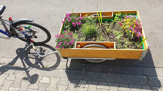 das Beetmobil und das Ordnungsamt