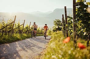 Radfahrer zwischen Weinreben im Südtirol.