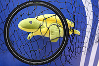 Schwalbe Green Marathon aus Fischernetzen